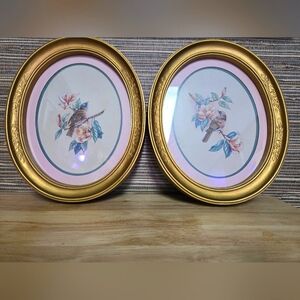 Pair of Vintage framed Bird prints from Homco.